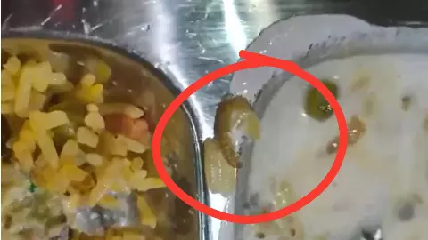 हॉस्टल के खाने में मिला कीड़ा, छात्रों ने बनाया वीडियो तो हरकत में आया विभाग; नालंदा लिविंग जीएन का किचन बंद हॉस्टल के खाने में मिला कीड़ा, छात्रों ने बनाया वीडियो तो हरकत में आया विभाग; नालंदा लिविंग जीएन का किचन बंद