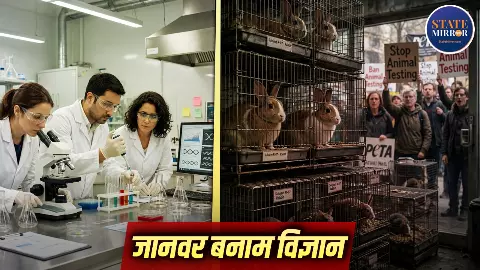 Explainer: कुत्ते-बिल्लियों से लेकर बंदरों तक पर प्रयोग का खुलेगा रास्ता, नए ड्राफ्ट में क्या-क्या, क्यों भड़का है PETA?